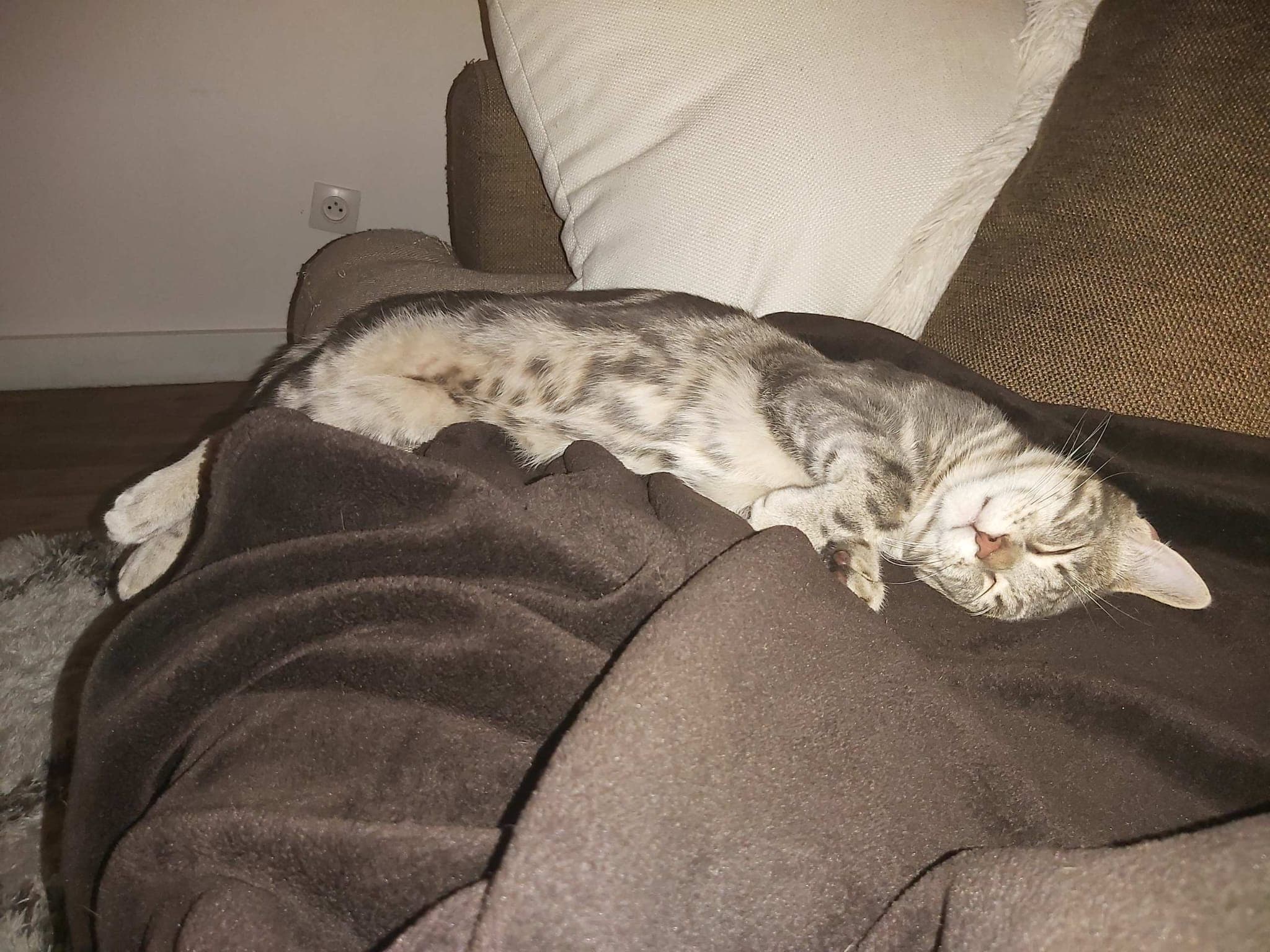Milo, membre de la petite tribu de Tata ZaZa